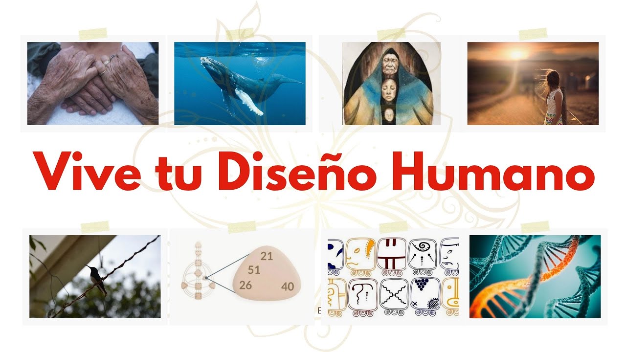 Vive tu Diseño Humano #4 Autoridad SACRAL con Sol Parte 2