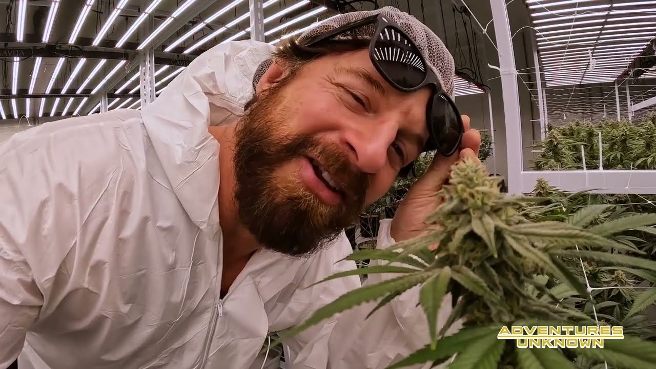Cannabis Plant Tour Newfoundland