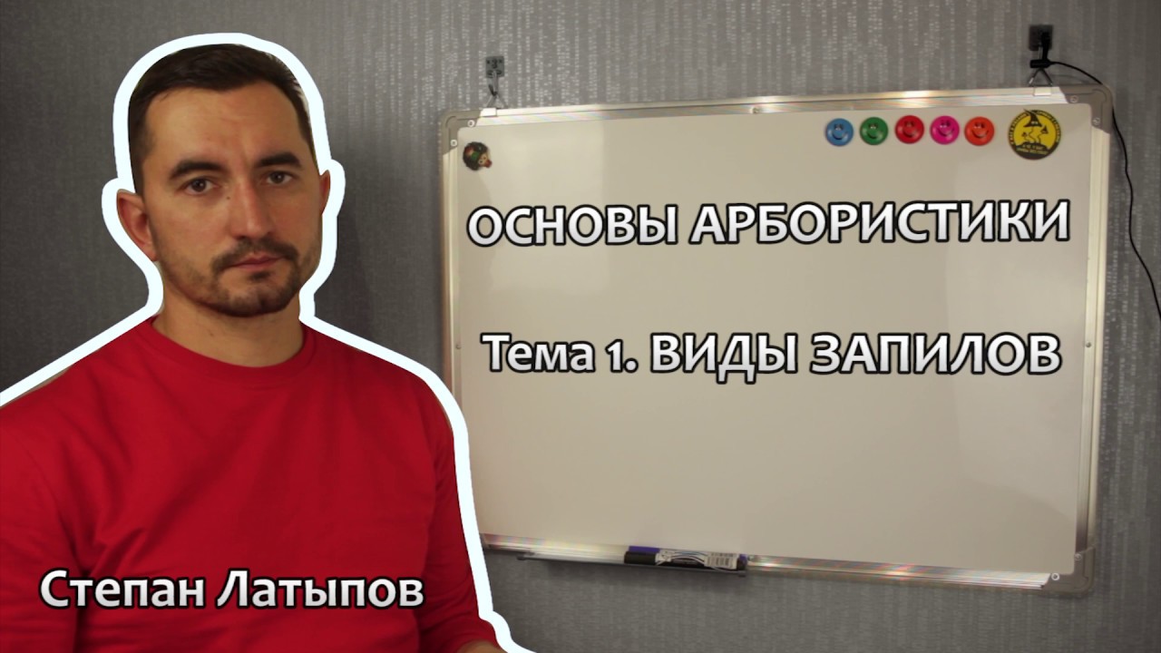 Степан Латыпов Беларбо Виды запилов ветвей и стволов - Основы арбористики. Тема 1