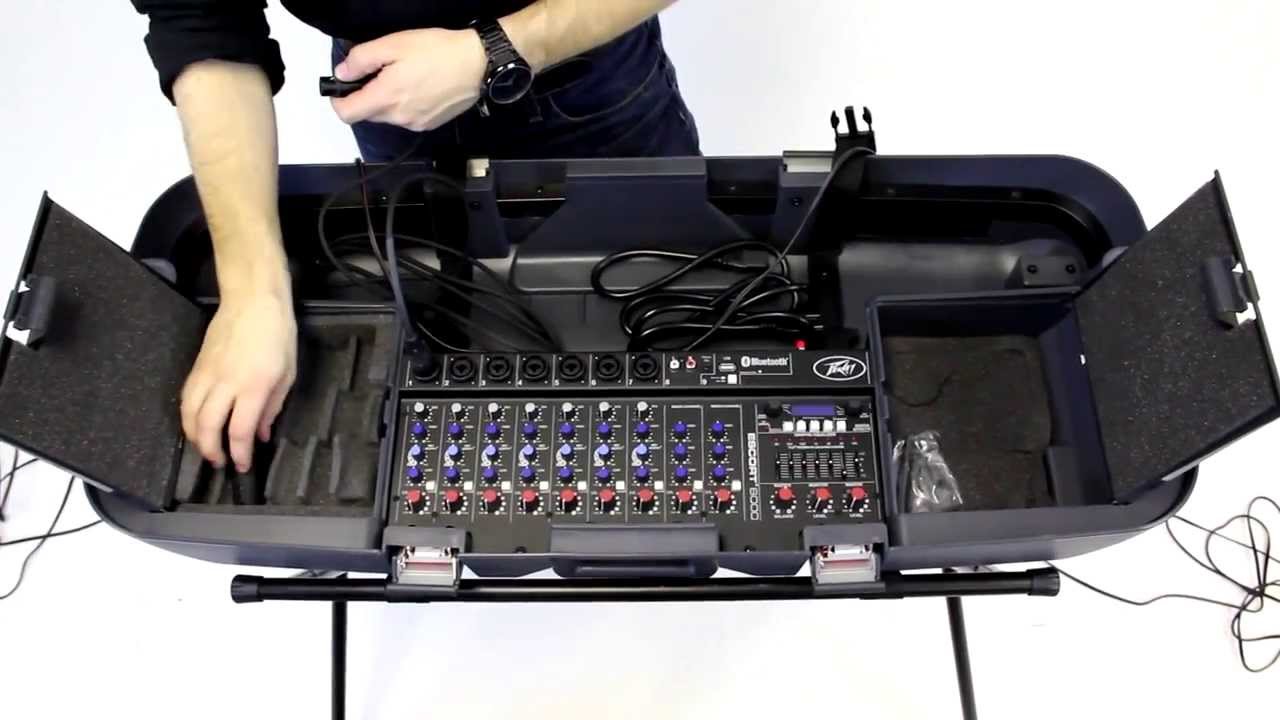 Peavey Escort - Portable PA System