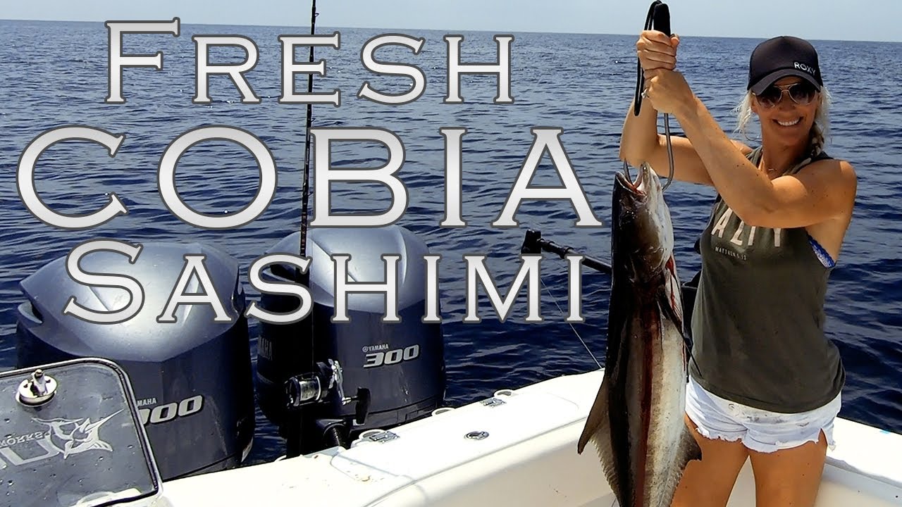 FRESH COBIA SASHIMI in MINUTES! Make your OWN SASHIMI with your choice of white meat fish!