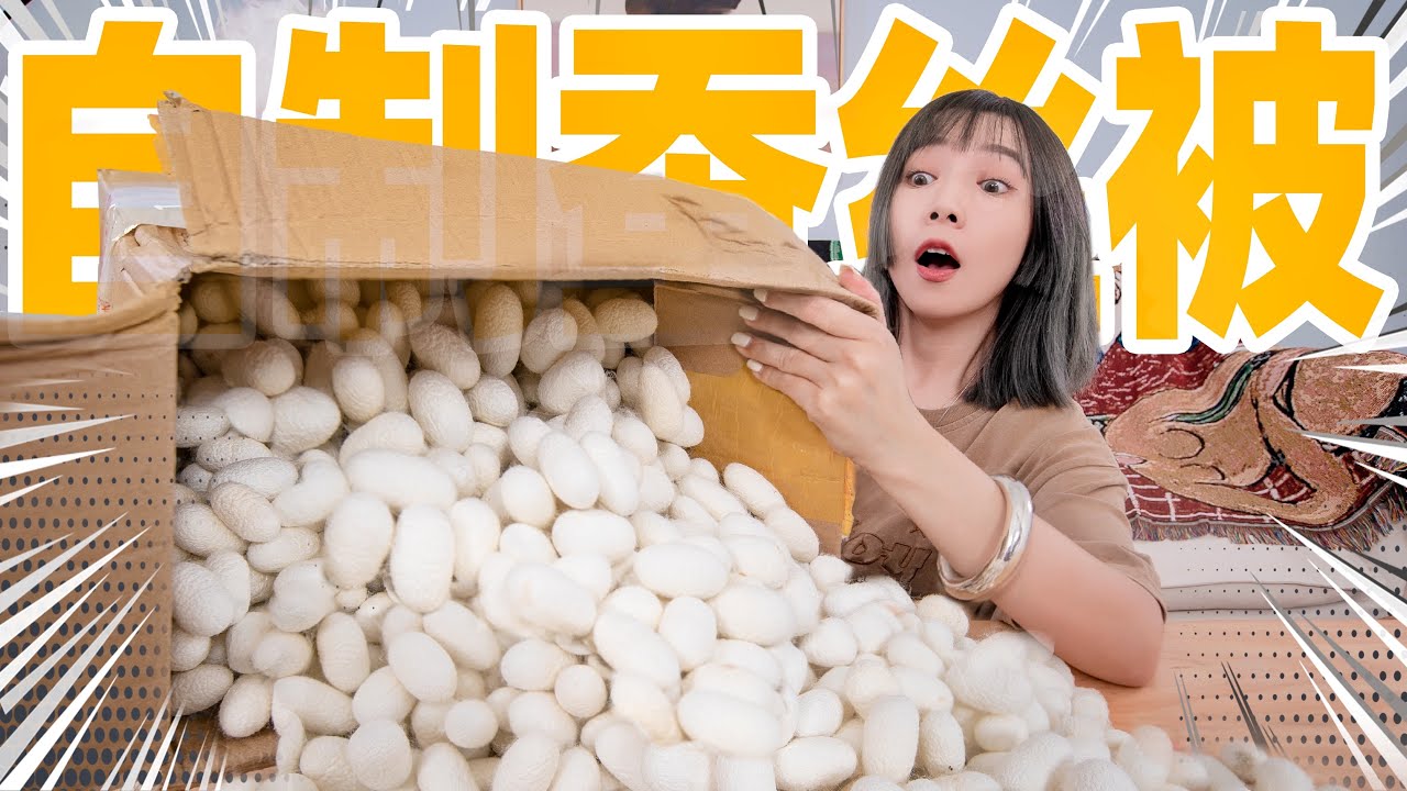 抽光1000只蚕的蚕丝！做蚕丝被！| Silk Quilt