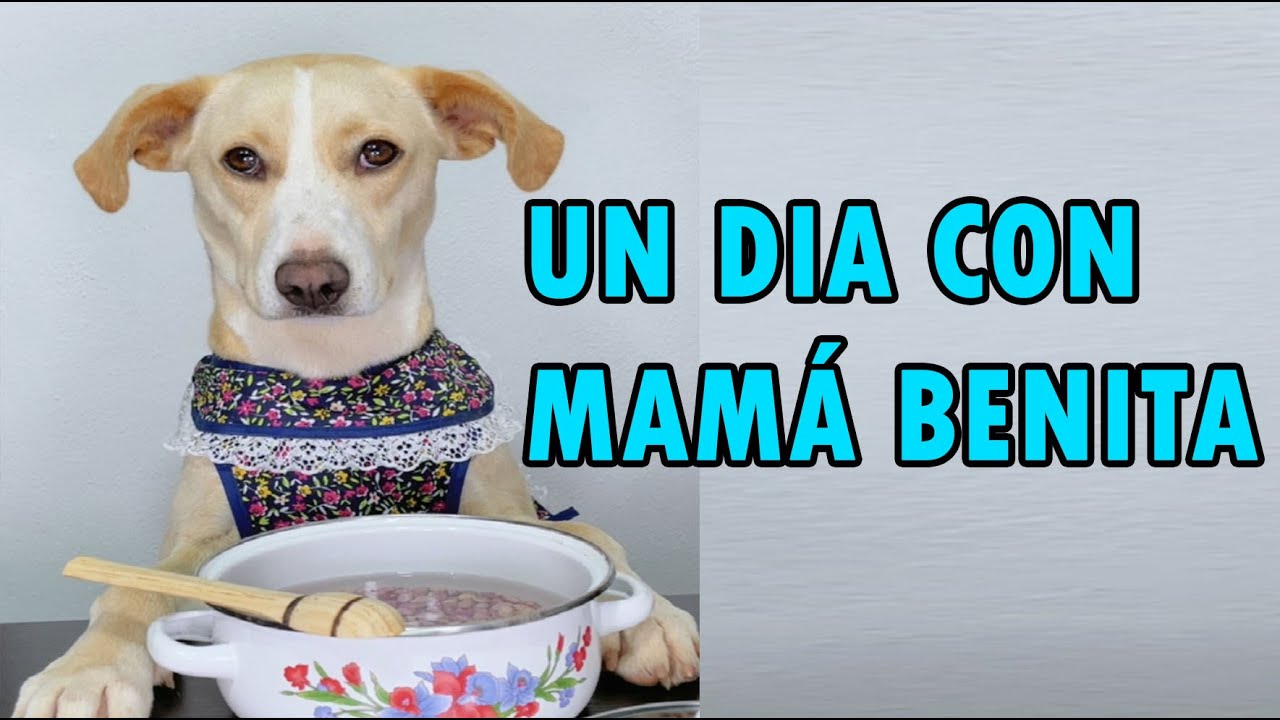 Un día con mamá Benita