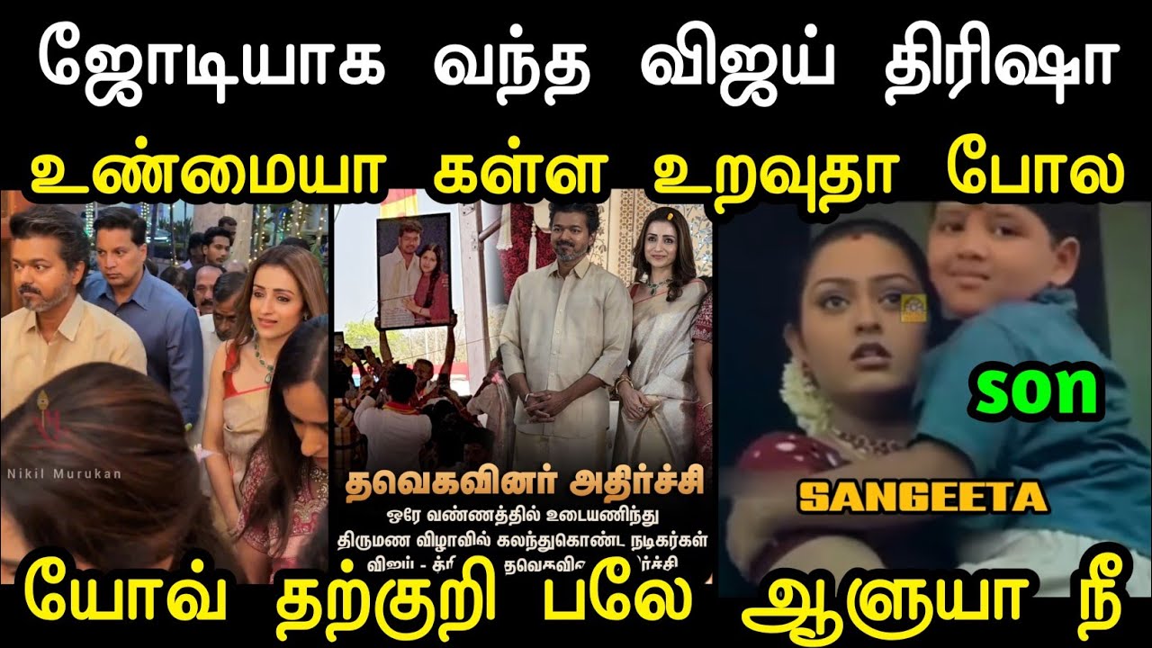 ஜோடியாவே சுத்த ஆரமிச்சிடாங்க 🤦 | Vijay Trisha Viral Video | Mr Palam 
