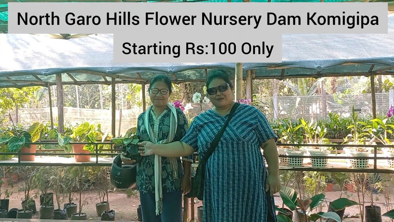 Dam Komigipa Flowers Nursery/North Garo Hills Soenang Labourpara Hai Niangchimbo Ripengrang 🤗