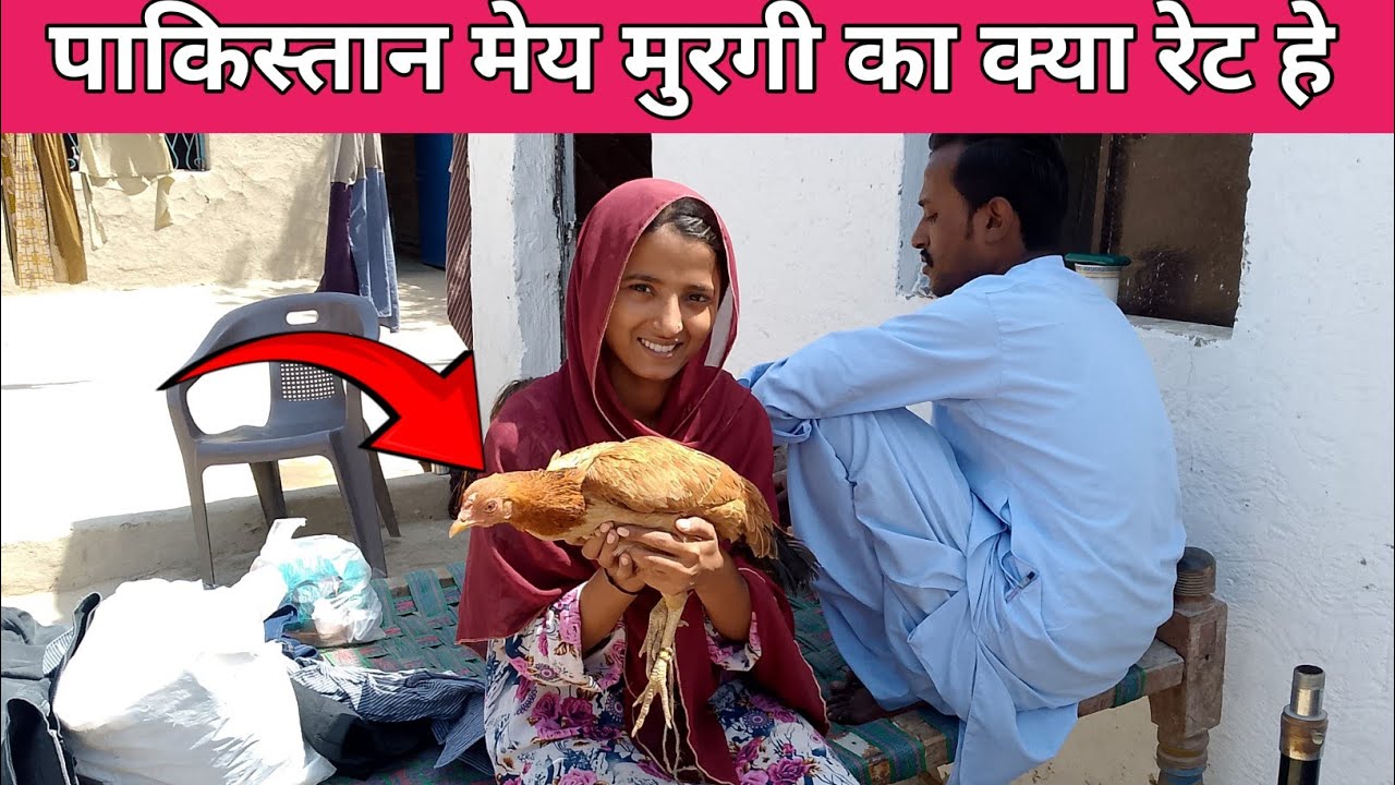 Pakistan Mein Murgi Ki Price 😯