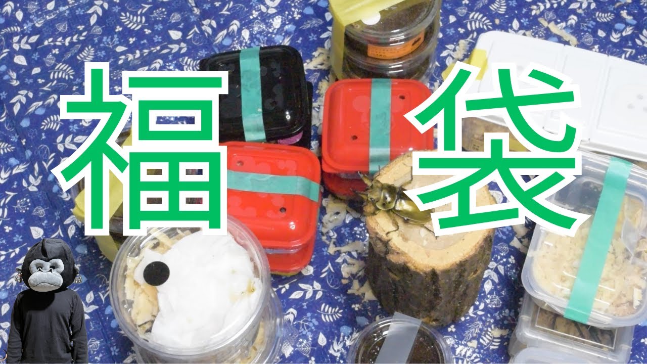 2026年一発目はやっぱこれ！福袋開封！！