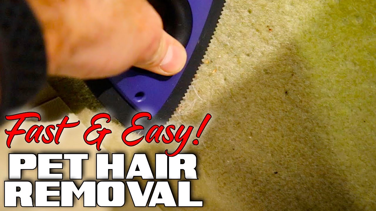 Remove Pet Hair FAST & EASY! The Amazing ANALAN Mini Pet Hair Remover!  #Analon #detailingtips
