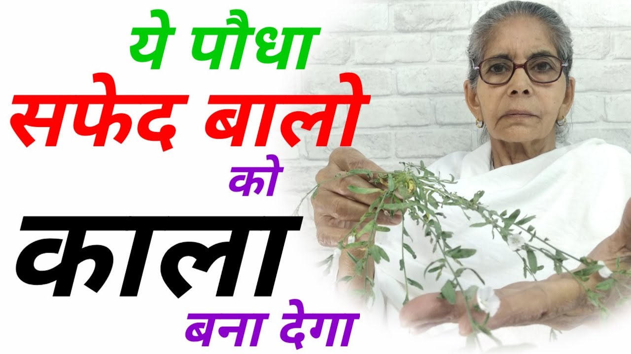 Naturally black and long hair, turn your white hair into naturally black, सफेद बाल बनाए लम्बे व काले