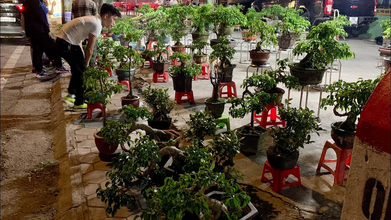 Các lễ hội chợ cây cảnh đầu năm tại Nam Định_0825780998