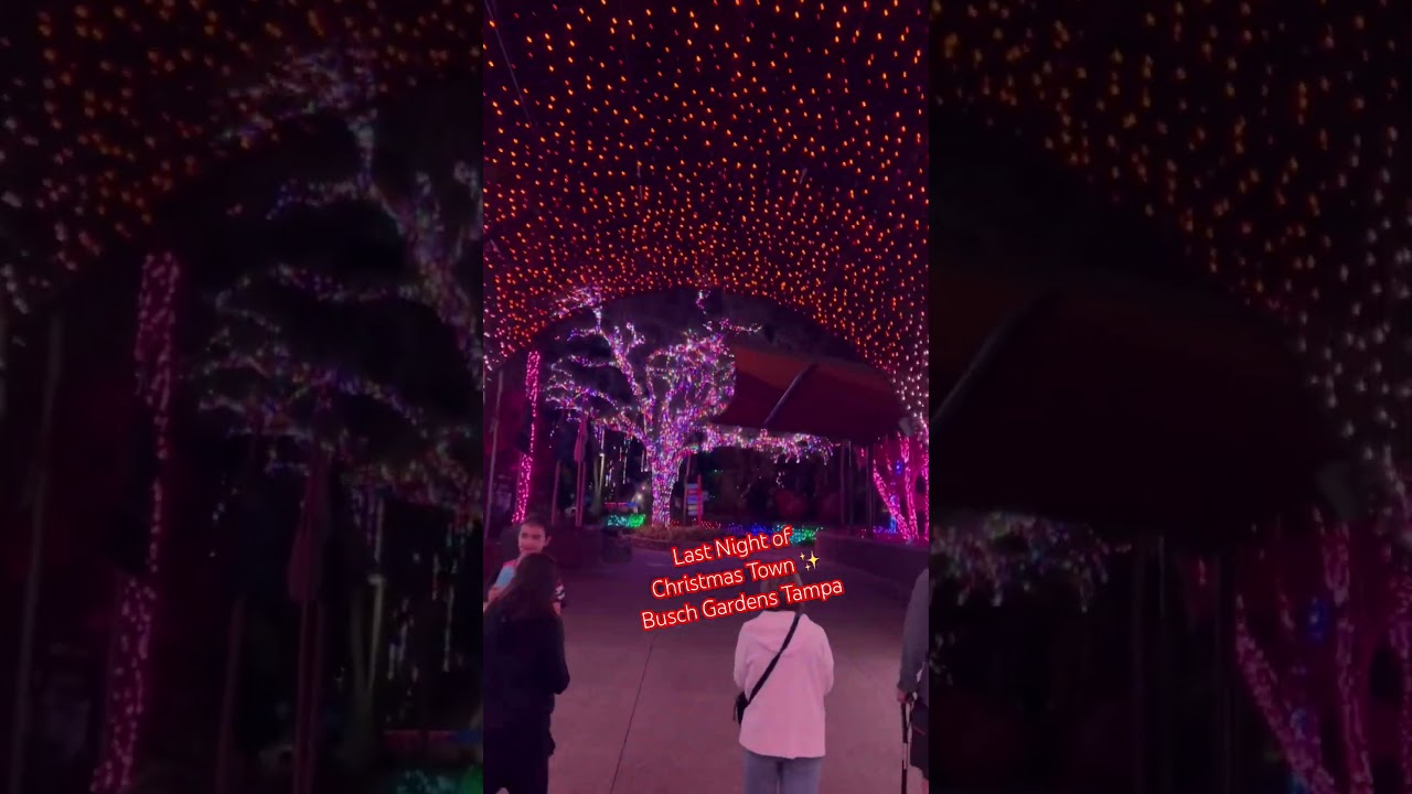 Last Night of Christmas Town ✨ Busch Gardens Tampa, FL 