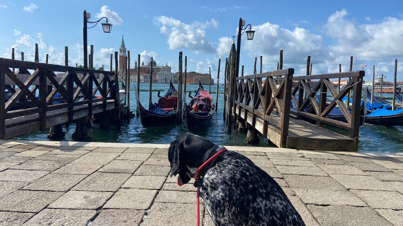 The ADVENTURE continues to VENICE, LAKE GARDA, SUD TYROL and HOPFENSEE in our Motorhome