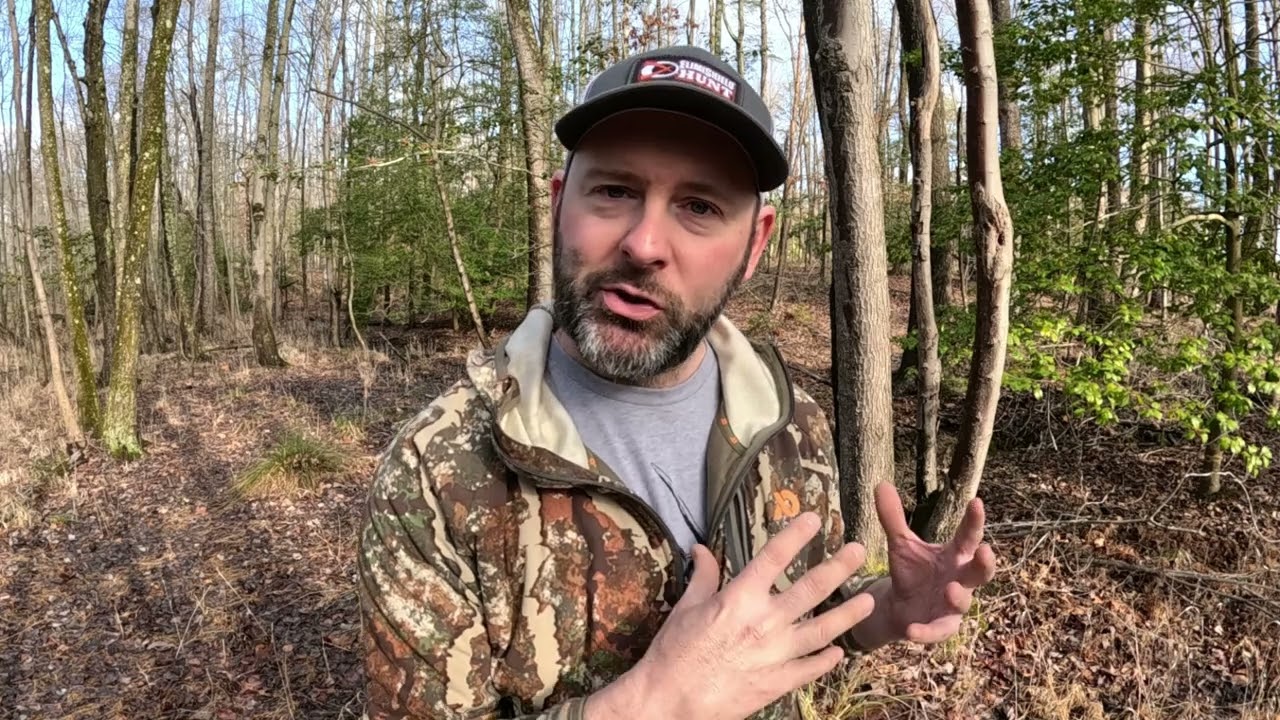 Should You Plant Soy beans for deer? Part 1