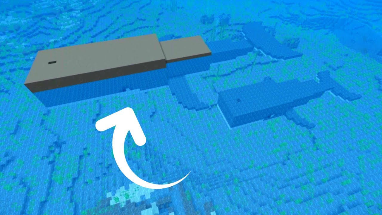 How To Build A Whale in The Minecraft Style
