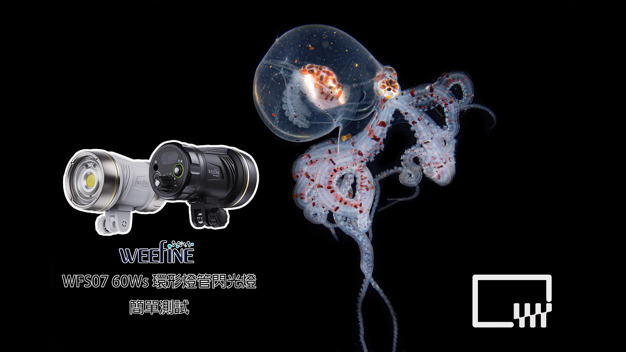 Weefine WFS07 環形燈管閃光燈簡單測試
