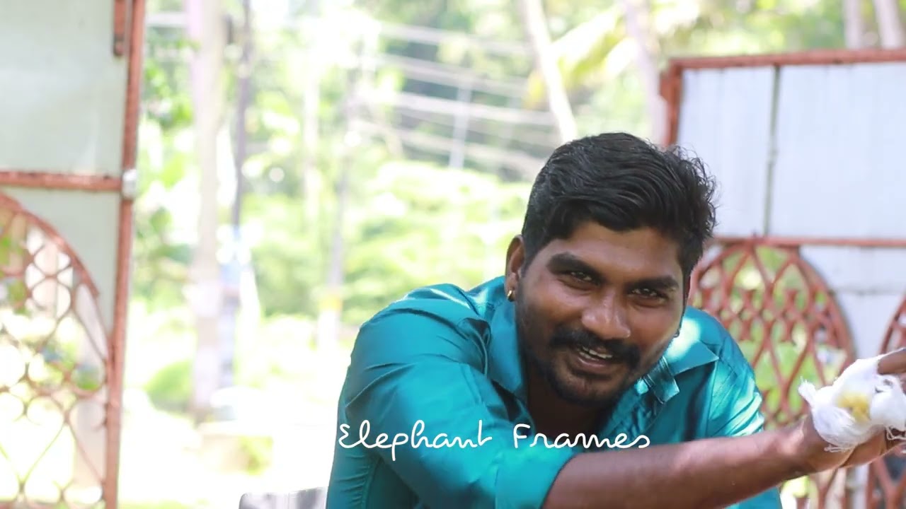 പാറാശ്ശേരി അയ്യപ്പനും തിരുവമ്പാടി അർജുനനും/elephant frames/nayarambalam rahul