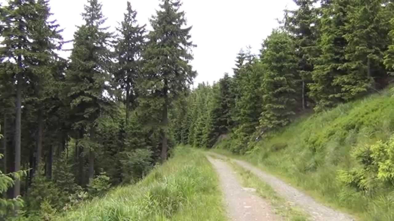Wanderreise nach Kouty nad Desnou