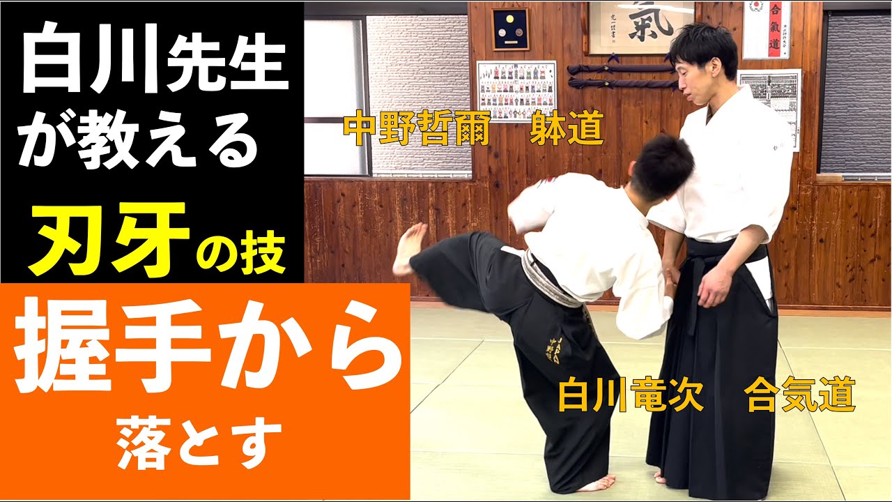 ほんとにできるの？刃牙でお馴染み「握手からの崩し」を合気道白川先生から学ぶ！