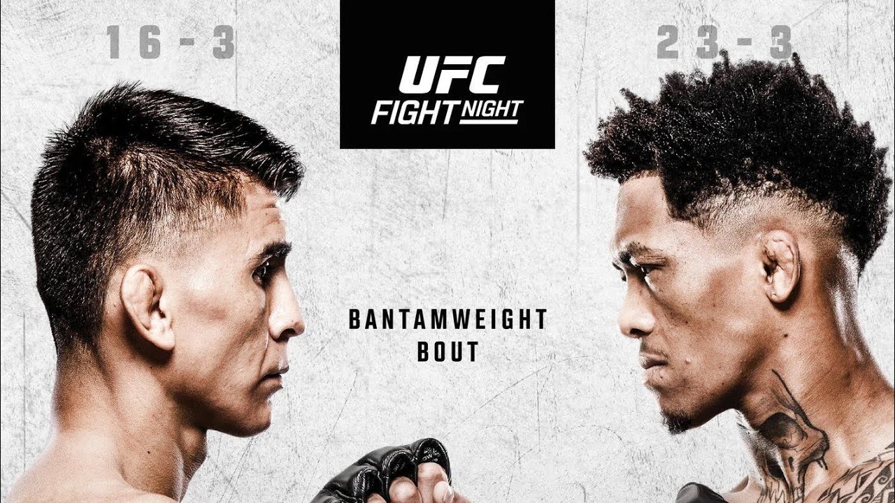 UFC Fight Night: Баутиста против Оливейры: полный прогноз и анализ боя.