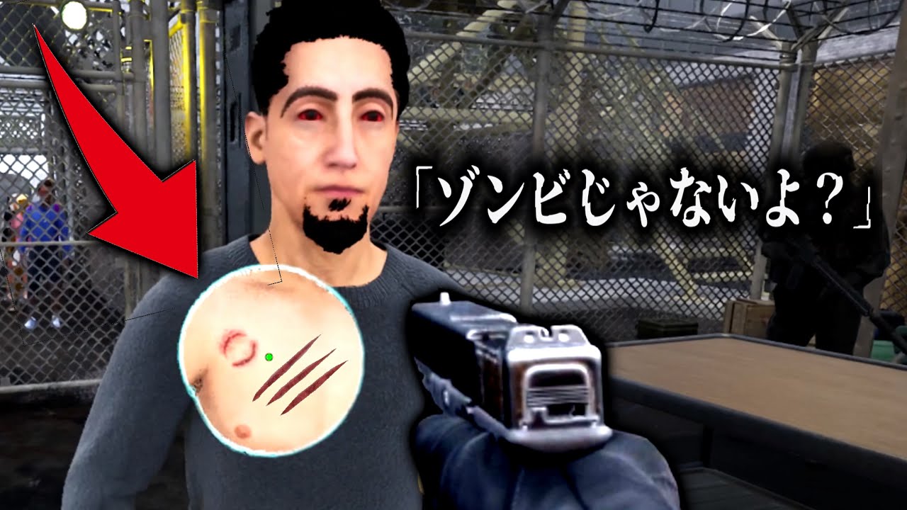 ゾンビか生存者かを検査官になって見極める神ゲー#2【quarantine zone: the last check】