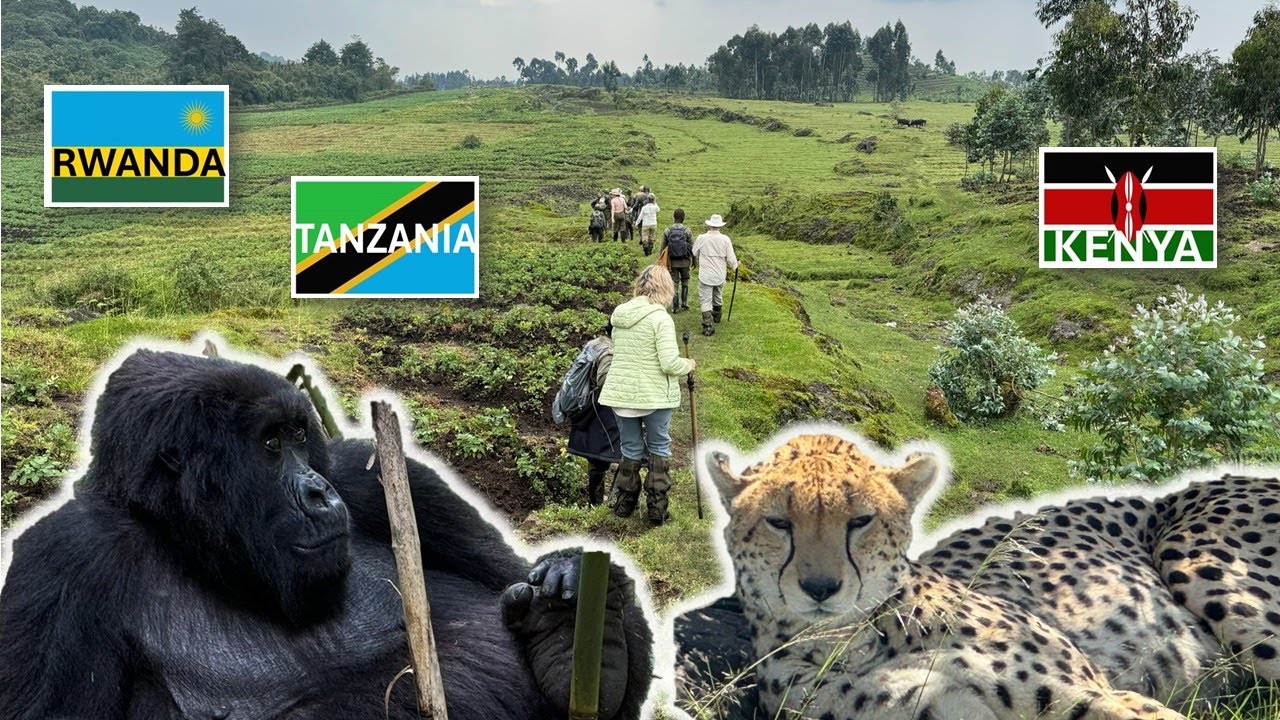 Gorilla Trekking + African Safari:  Rwanda | Tanzania | Kenya