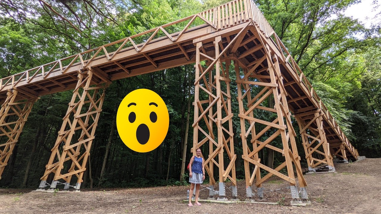 Kładka wśród drzew nad Szklarką blisko Nowego zoo. Za darmo. Poznań, stalewiaki w podróży.