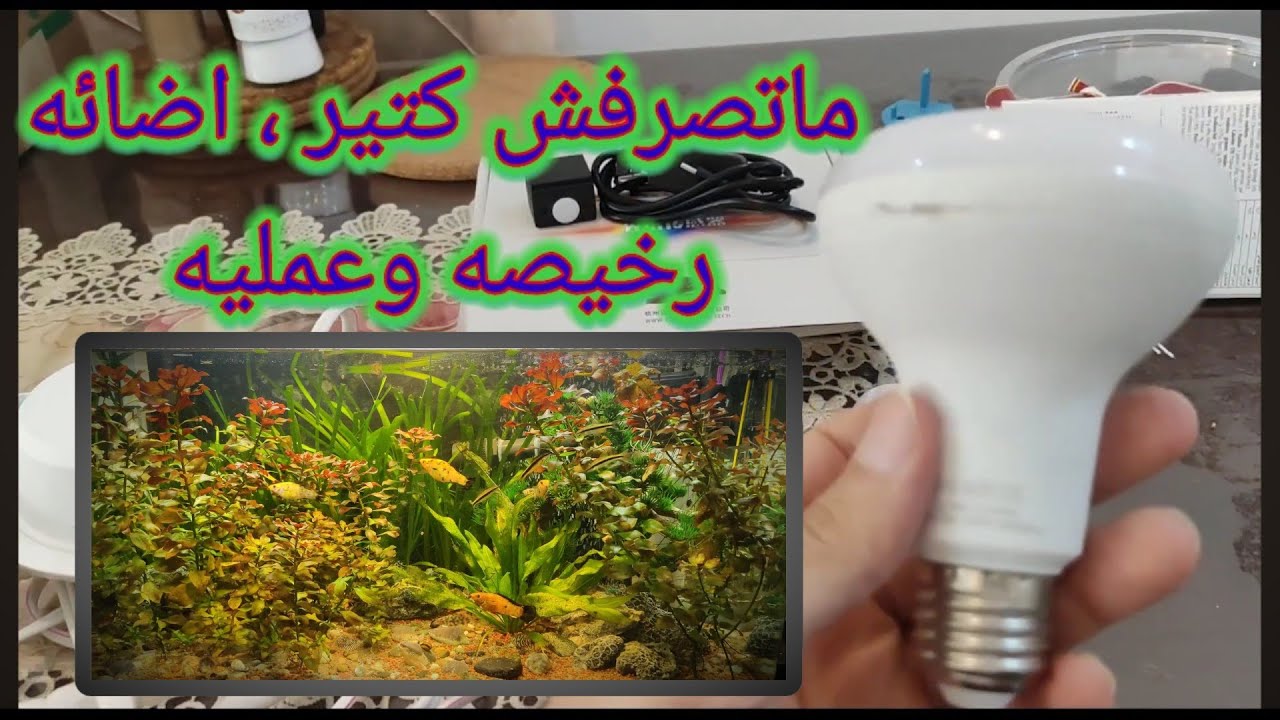 لا يريدونك أن تعرف هذه المعلومات ، استعمل اللمبات المنزليه الرخيصه لنباتات حوض سمك  بنموات فائقه.