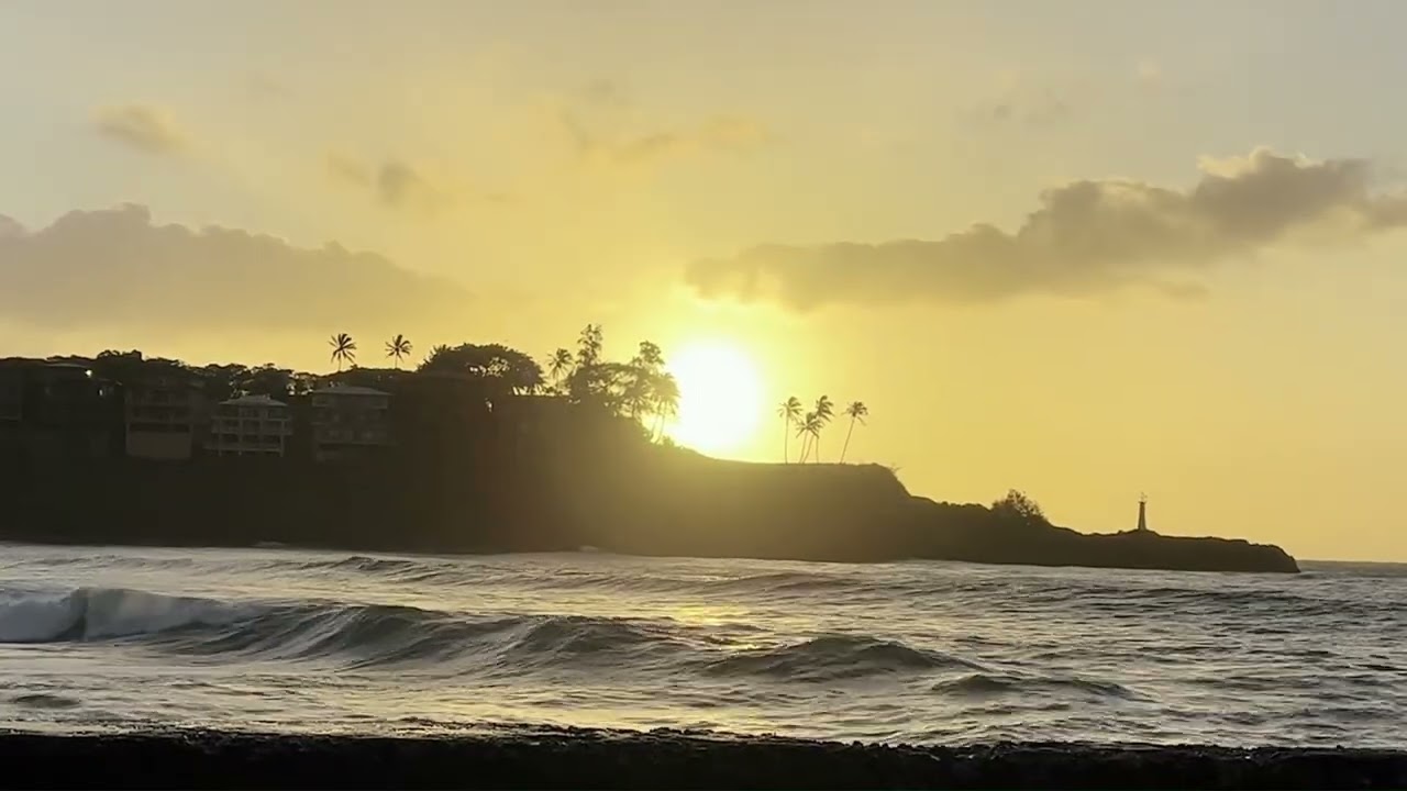 PLANET EARTH SOUTH PACIFIC Kauai Kalapaki USA #movie  #nature #sunrice #aloha