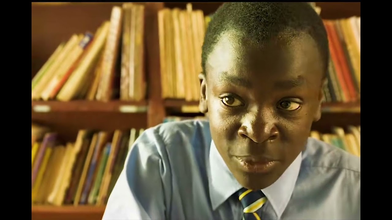 The boy saved the entire  village  and lit up his life path  with a  windmill