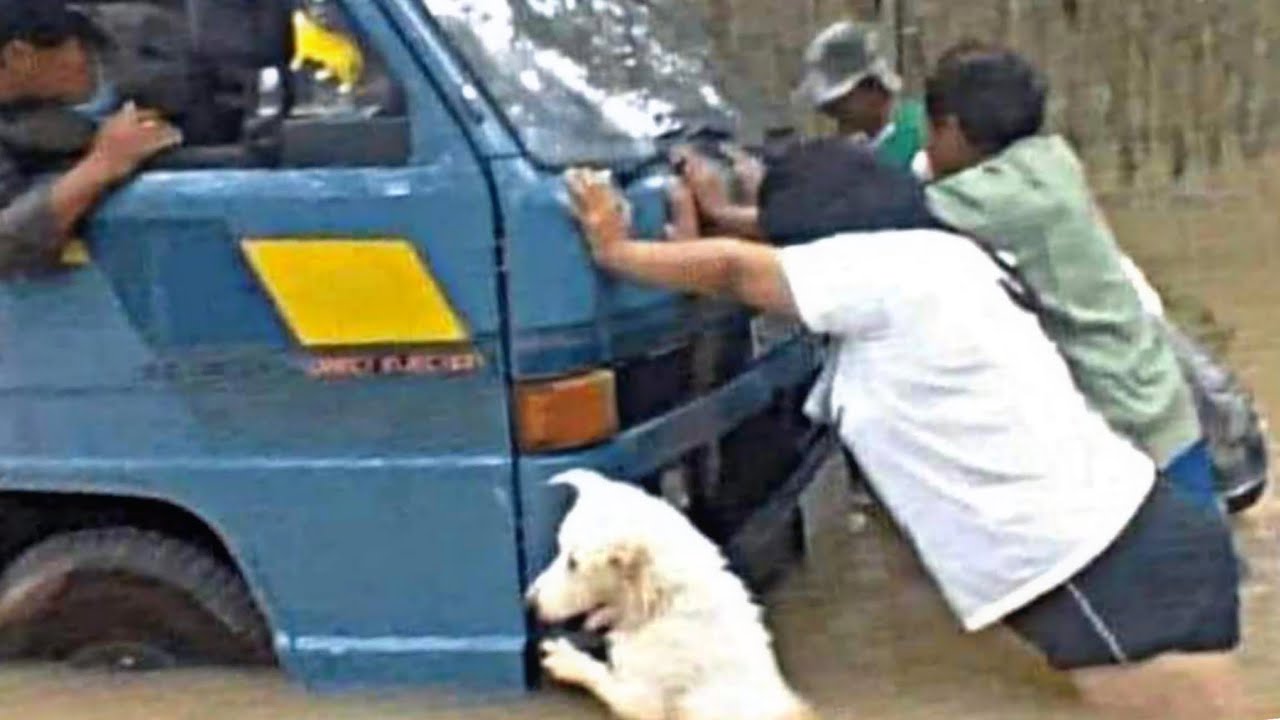 Best Fails Of August 2023 (So Far)
