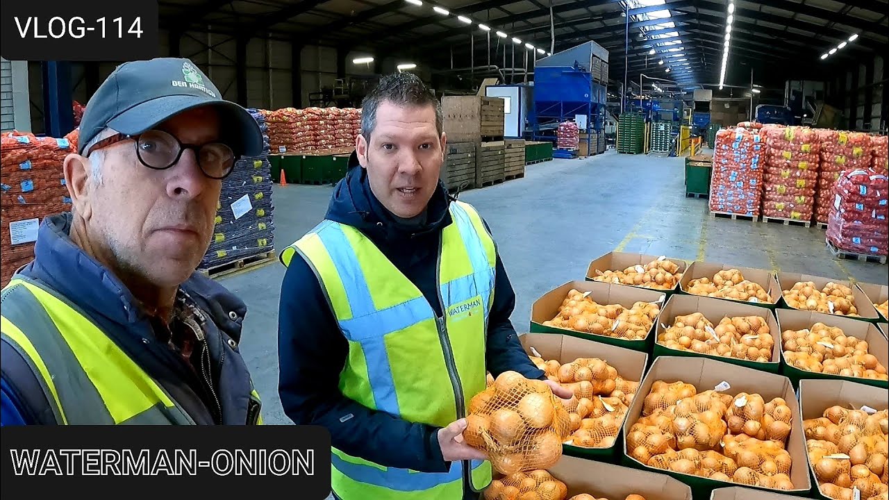 FARMVLOG #114 uien afleveren aan Waterman-Onions B.V.