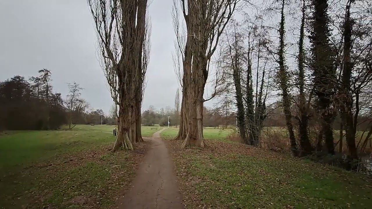 ⵝⵉⵙⴻⴽⵍⵓⵝⵉⵏ ⵜⴰⵛⵏⵉⵡⵉⵏ!Tweelingbomen!