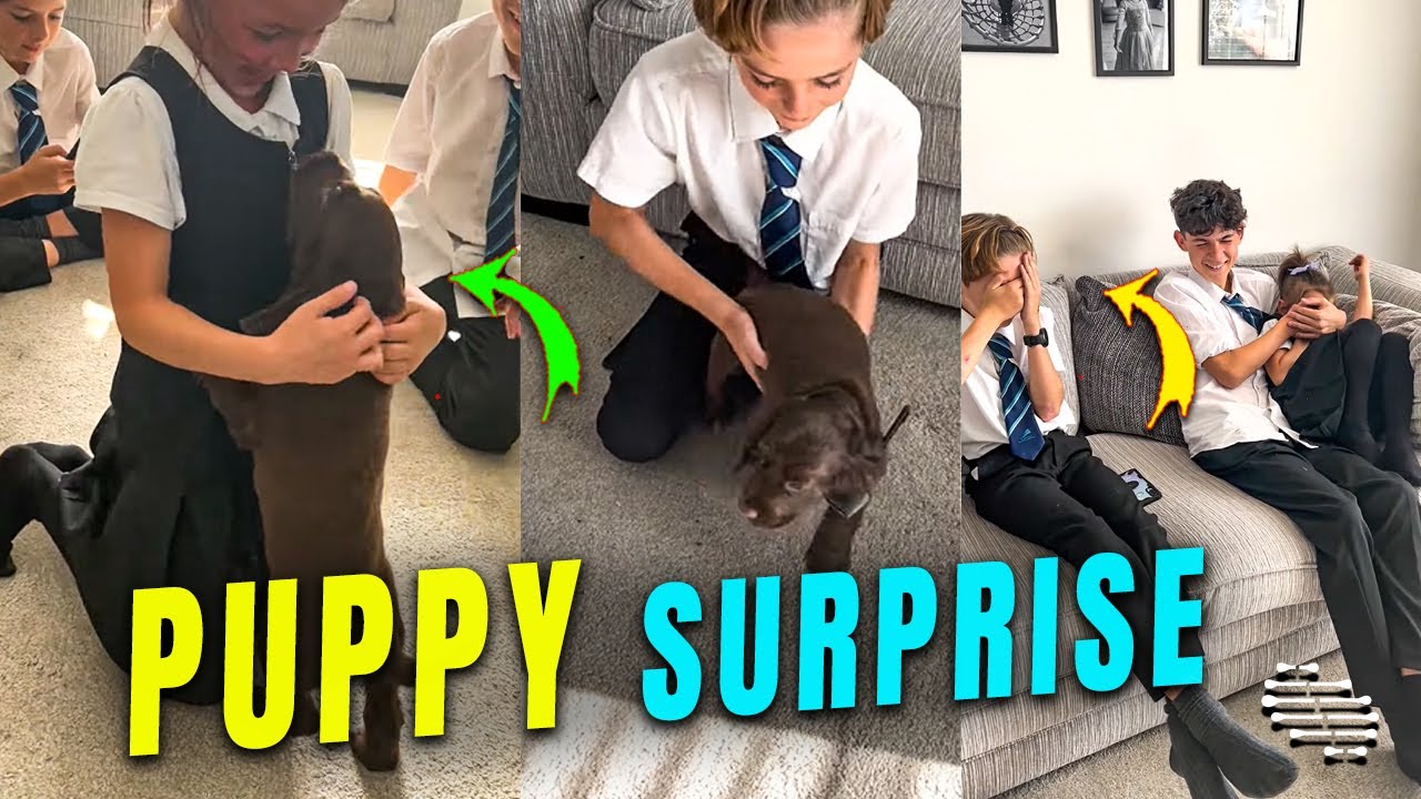 Children Surprised with a Puppy