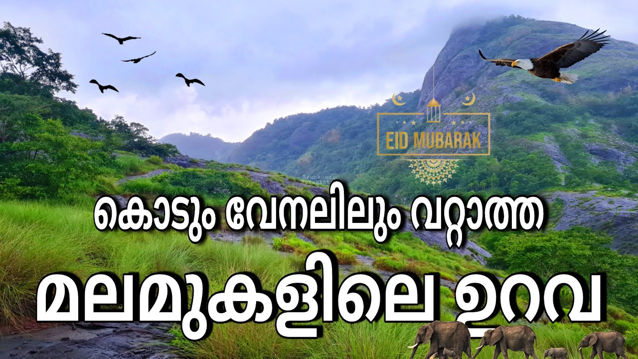 കൊടും വേനലിലും വറ്റാത്ത മലമുകളിലെ ഉറവ | Perennial well at Mamalakkandam @ArunkumarPurakkattu