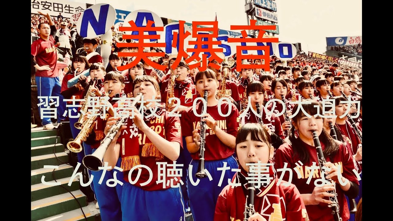 演奏が始まった瞬間隣のおじさんも思わず「うゎーすげーな！！」って言ってしまう　『美爆音』