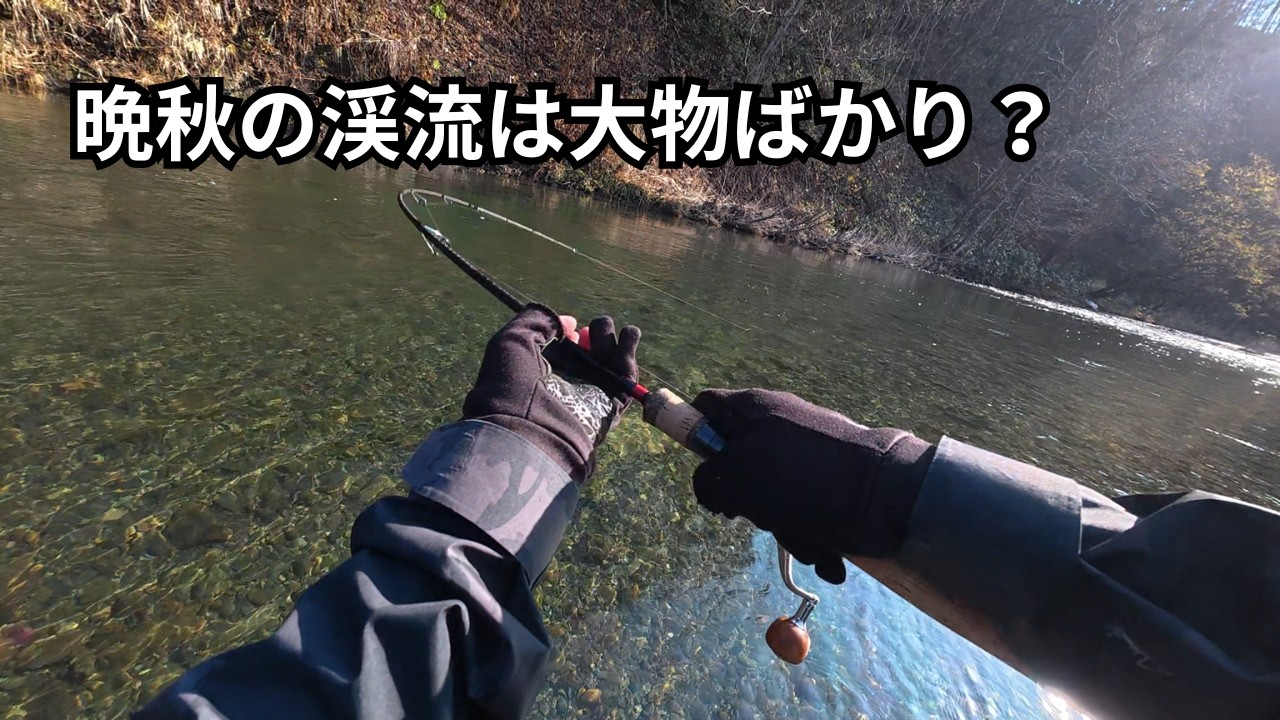 11月の渓流は大物ばかり【北海道 渓流釣り】