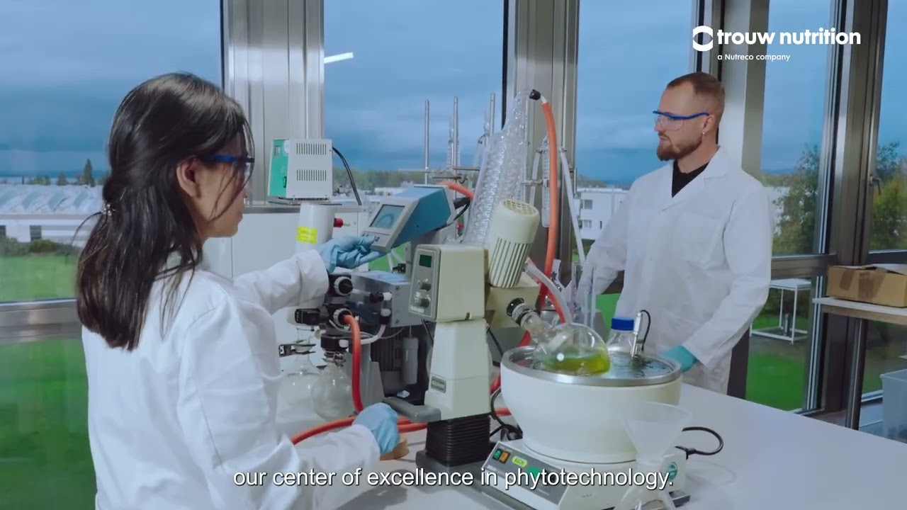 PhytoComplexes: Turning Plant Science into Practical Nutrition