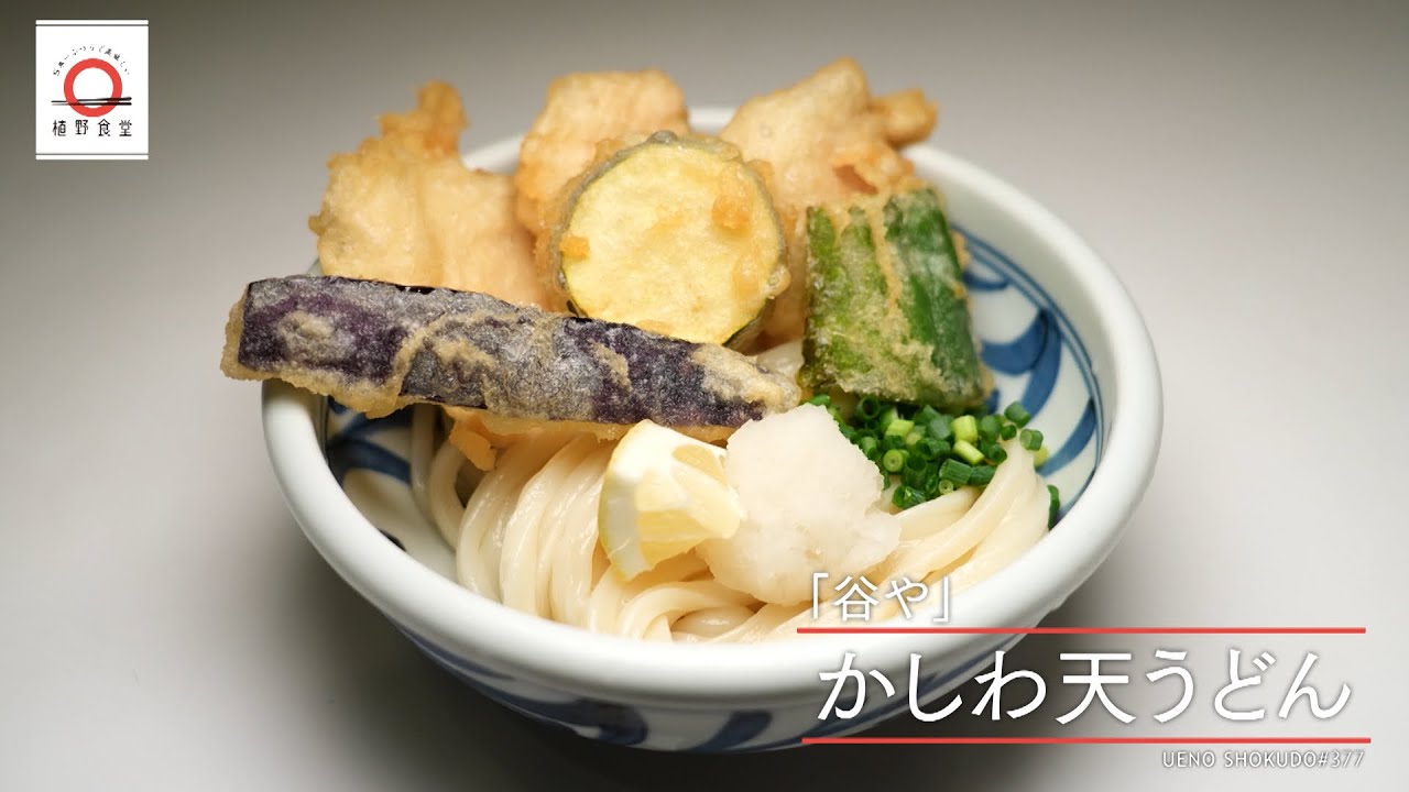 【もちもち食感、粉の香り、鶏肉のうま味が全て揃った】 かしわ天うどん by 谷や　|植野食堂 #377 2024年10月8日放送