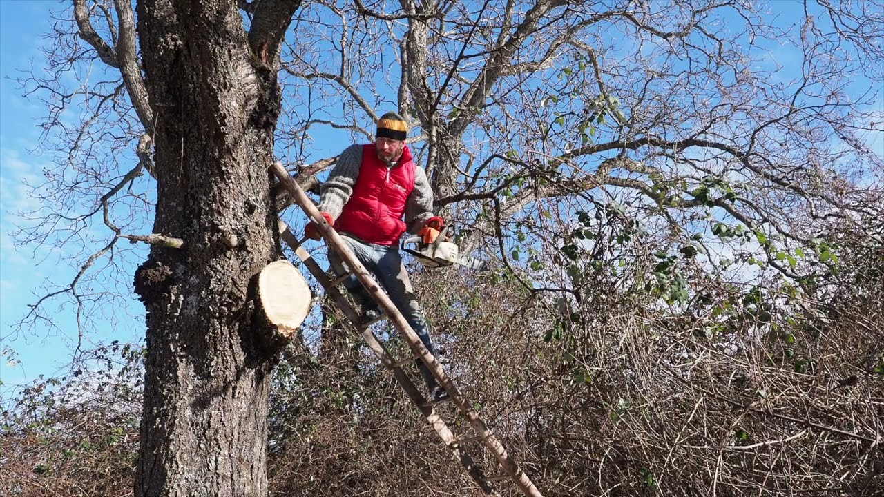 Príprava palivového dreva na samote, svojpomocne / Stihl MS 180 / Hecht / Suché čerešňové drevo