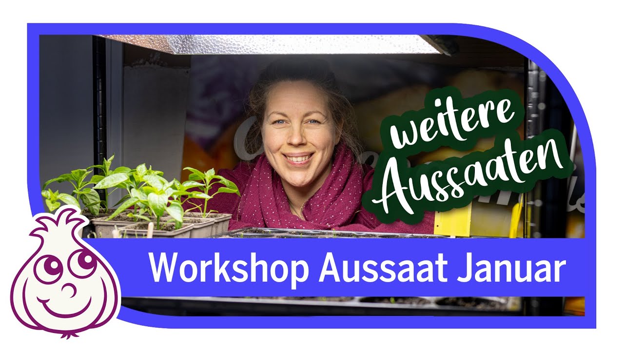 Neue Aussaat im Januar | Gemüseanbau Workshop Teil 2