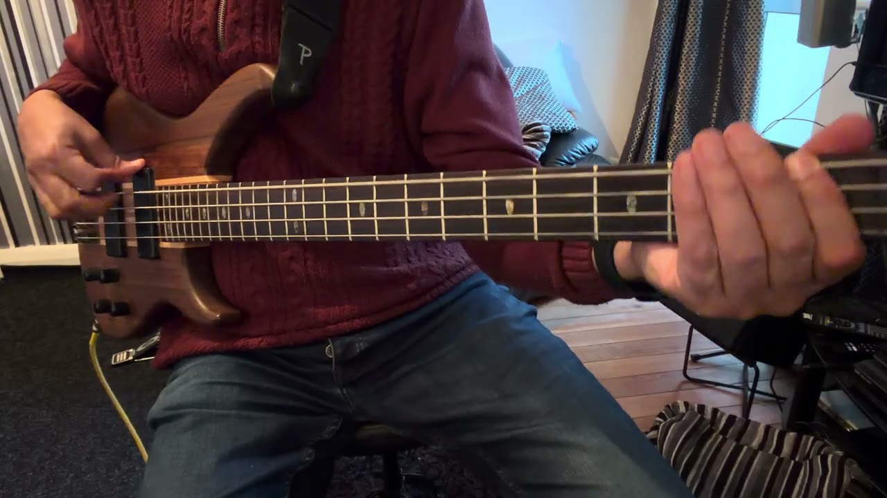 50 ways to leave your Lover (Bass Cover) 10th February 2026) Paul Simon ￼
