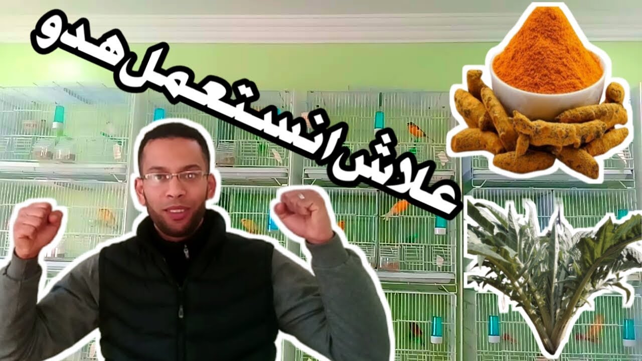 علاج الكبد طبيعي طريقة فعالة ومضمونة100/100