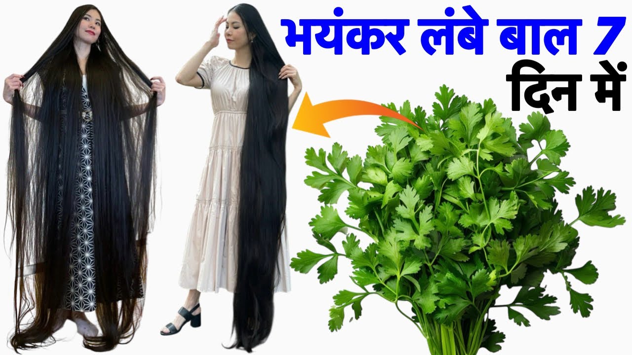 धनिया के पत्ते में एक चीज़ मिलाकर आप अपने बालों में लगा लो | Bal bhayankar Lambe Ghane Ho jaenge💯✅
