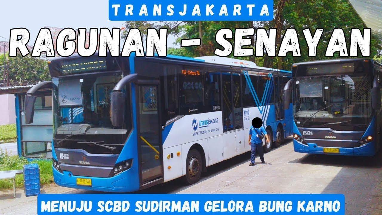 Trip BRT Transjakarta #16❗ RAGUNAN ke GELORA BUNG KARNO SENAYAN Naik Koridor 6V Terbaru Hanya 3rb