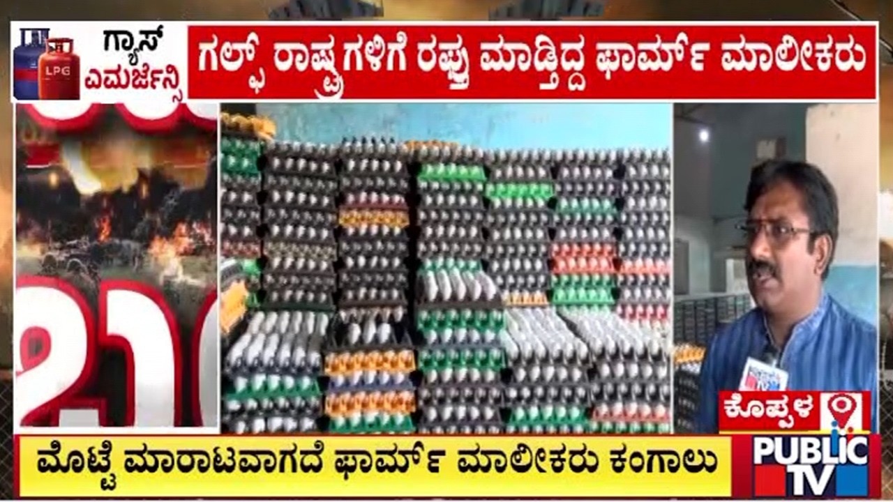 ಪ್ರತಿನಿತ್ಯ 50 ರಿಂದ 60 ಸಾವಿರ ಮೊಟ್ಟೆ ಹಾಳು | Koppala | Egg | War Effect | Public TV