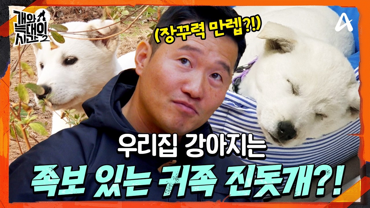 [#개와늑대의시간2] 우리집 진돗개는~🐕 뼈대 있는 혈통! 기품 있는 귀족 아가씨?!👸 | 개와 늑대의 시간 시즌2 9회