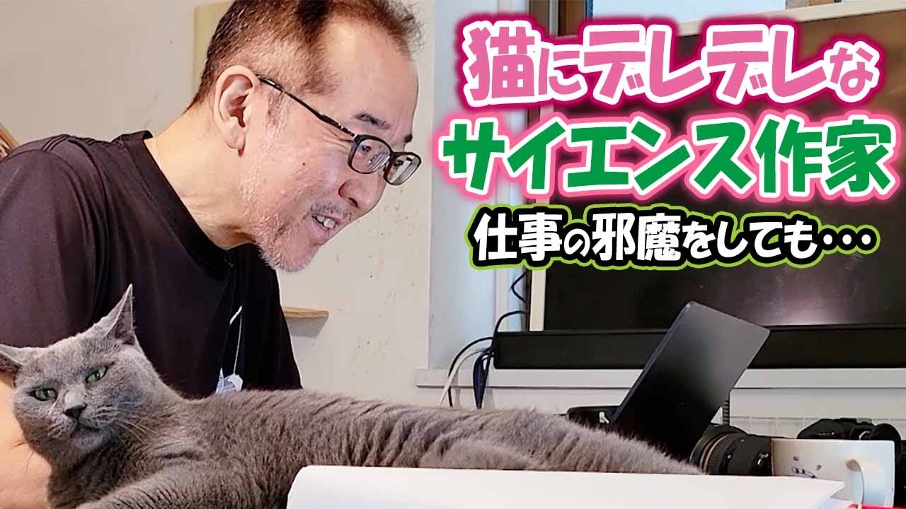 猫好きベストセラー作家、仕事を邪魔されても嬉しそう！？