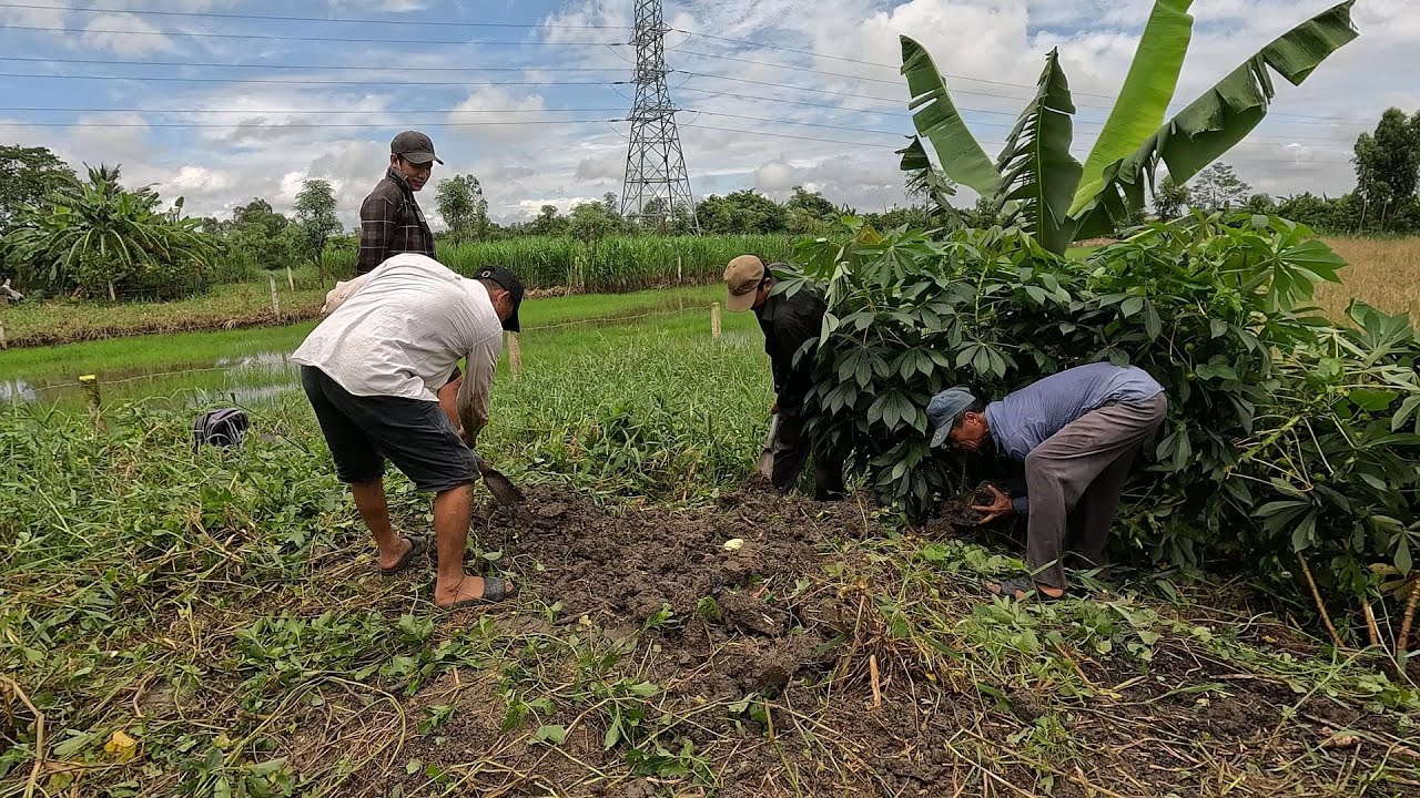 Con Này Nó Ở Đây Lâu Rồi Tôi Thấy Nó Lên Xuống Đây Hoài | Mười Thương Săn Bắt