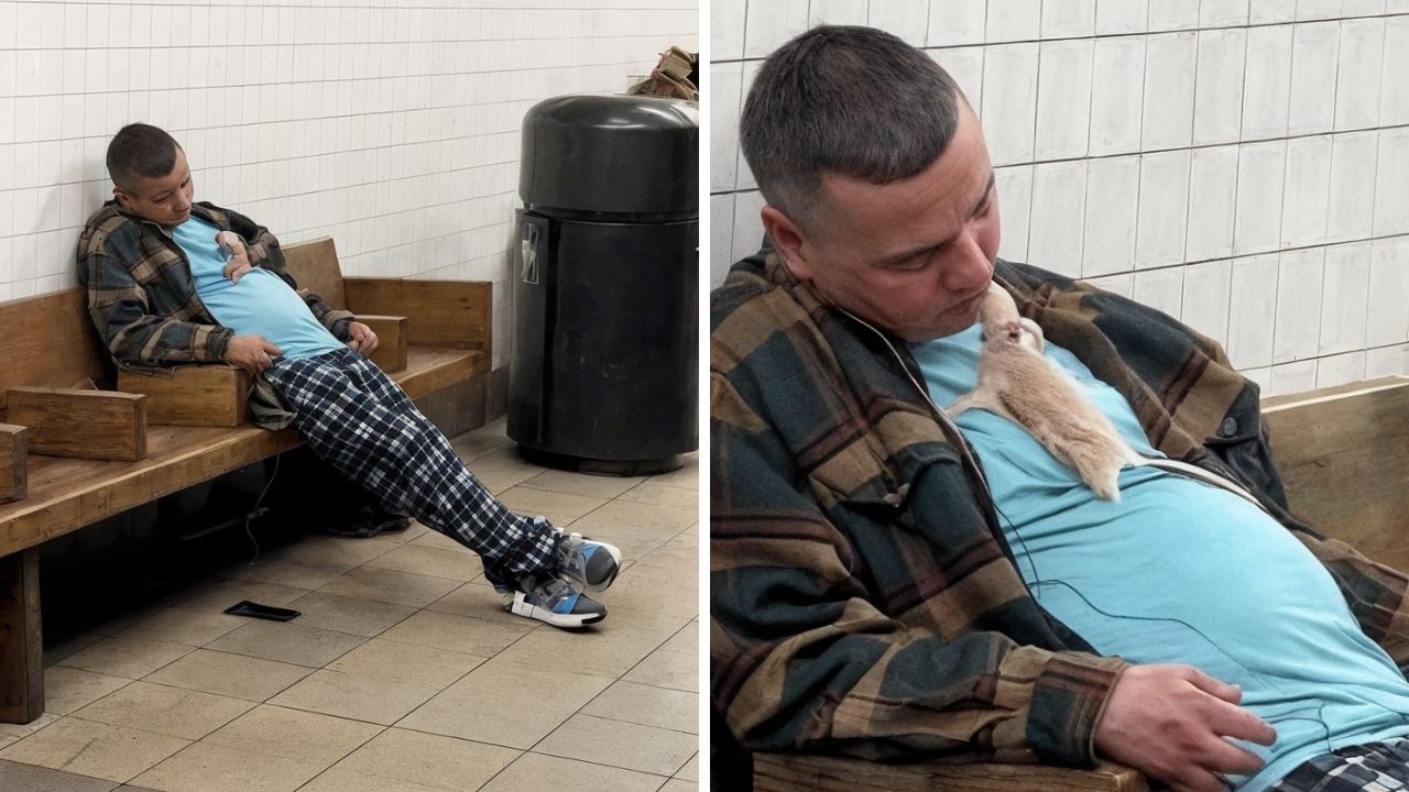 The Reason New York Will Never Win the War On Rats EXPLAINED