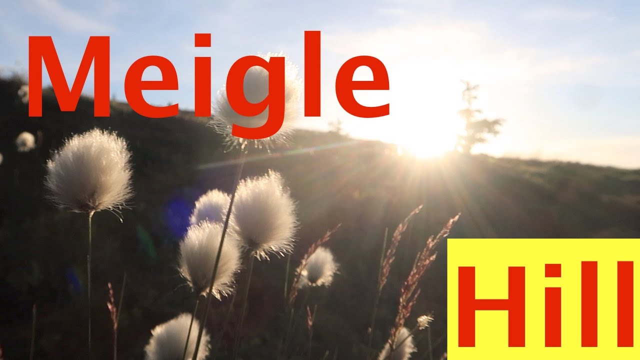 Meigle hill........... Galashiels Scottish Borders 2020 🏴󠁧󠁢󠁳󠁣󠁴󠁿